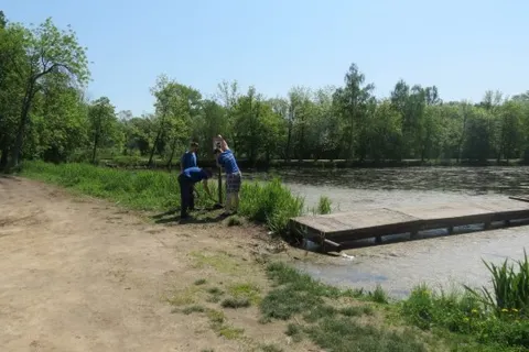 Ярославцам не рекомендуют купаться на городских пляжах