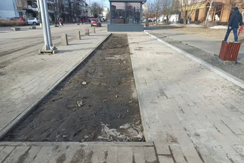 Жители Тутаева «потеряли» рулонный газон