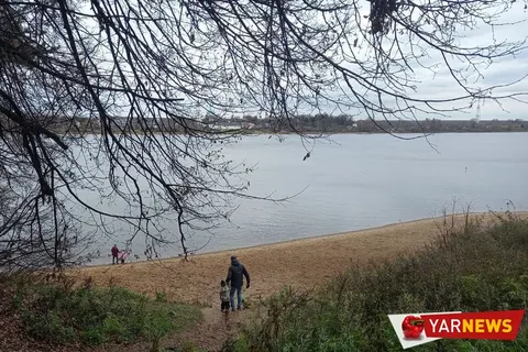 В Ярославле «зависли» итоги общественных обсуждений по благоустройству Павловской рощи