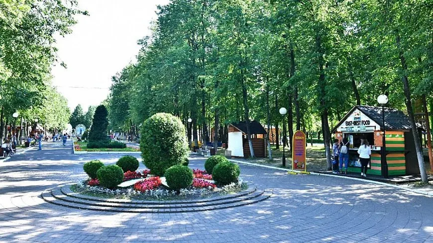 Муниципальные парки Ярославля ждет реорганизация