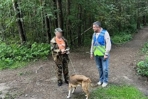Видеокамеры помогли оштрафовать 18 ярославцев за неправильный выгул собак