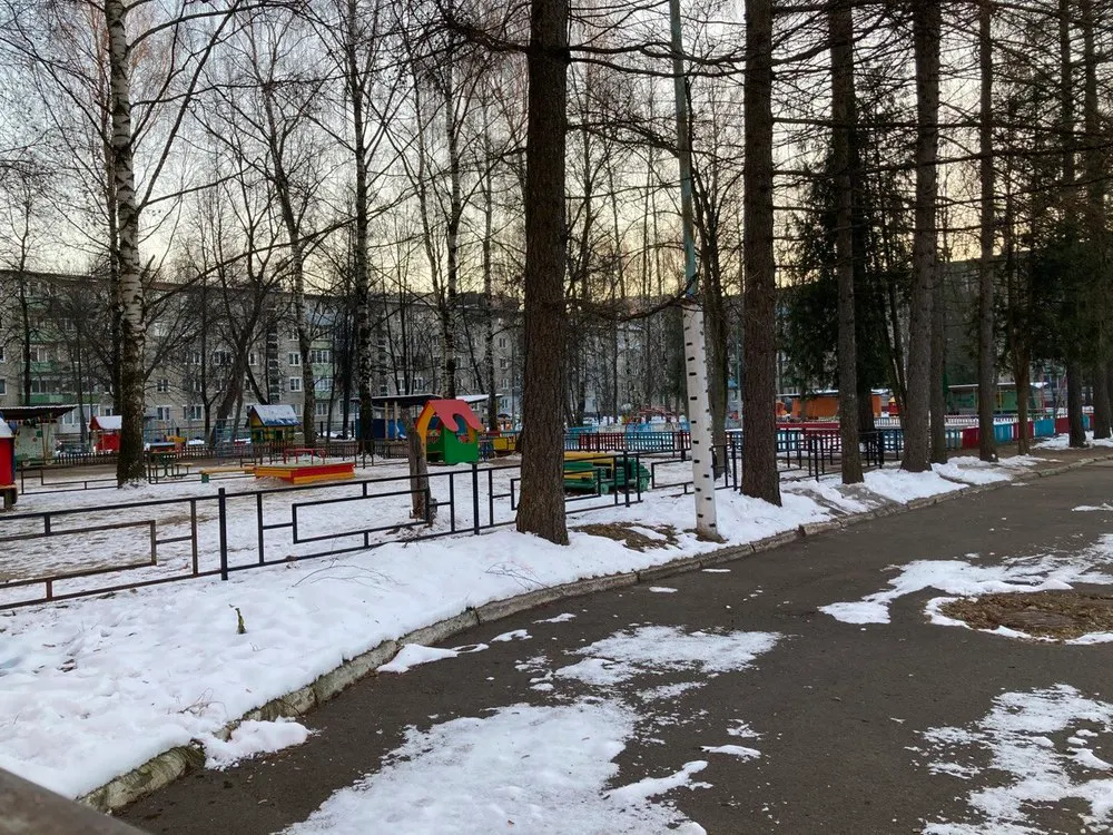 Синоптик рассказал, когда ждать климатическую зиму в центральной России
