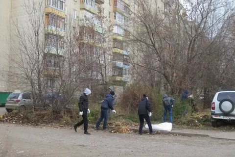 Во Фрунзенском районе Ярославля провели субботник