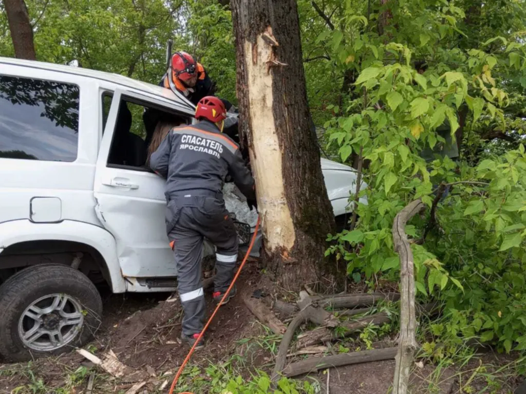 В Ярославле после ДТП с деревом спасли заблокированную пассажирку