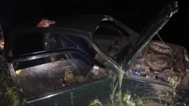 В Ярославской области «Ока» «пободалась» с лосем