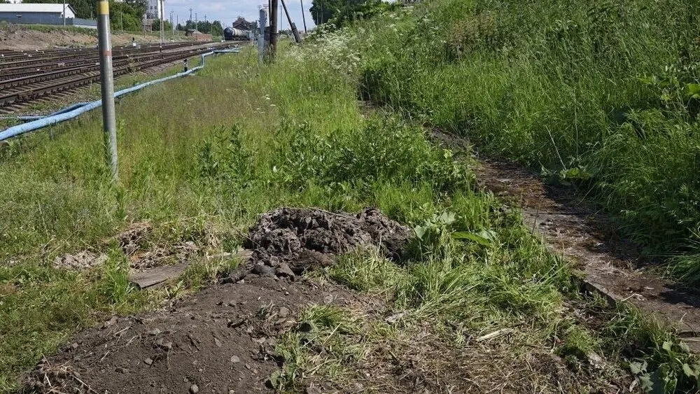 В Яроблводоканале призвали не смывать в унитаз памперсы и салфетки