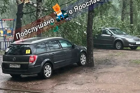 Сильный ветер продолжает ломать деревья в Ярославской области
