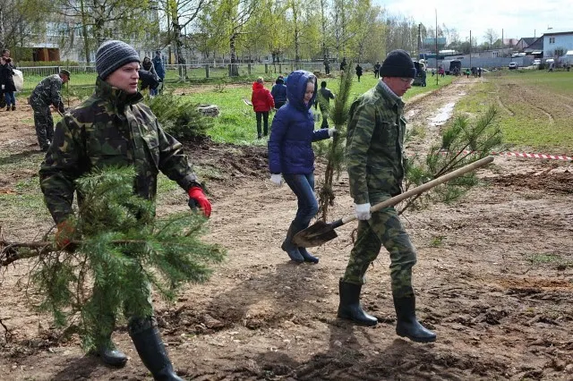 В Ярославской области стартовала акция «День посадки леса» (фото)