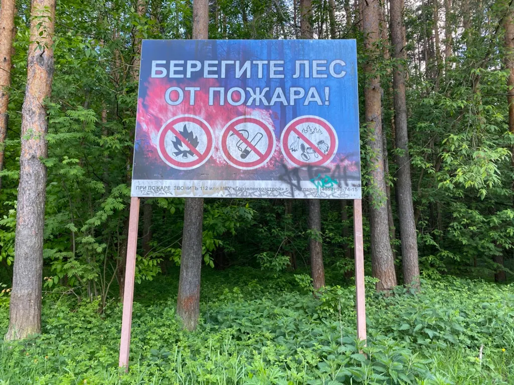 В Ярославле разъяснили, отменят ли дожди пожароопасный режим