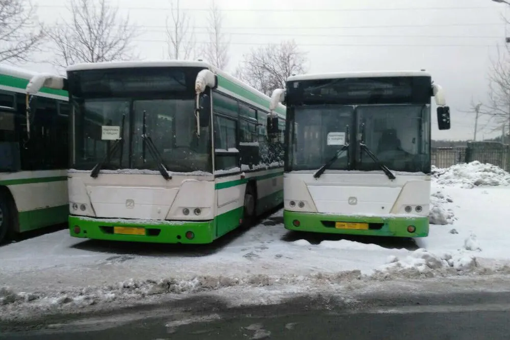 18 марта общественный транспорт в Ярославле сделают бесплатным 
