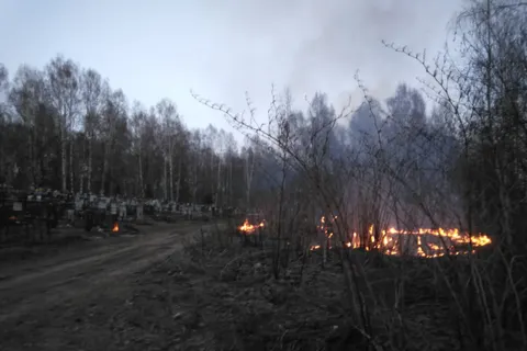Под Ярославлем горело кладбище