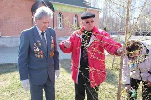 В Ярославле сажали каштаны и лиственницы