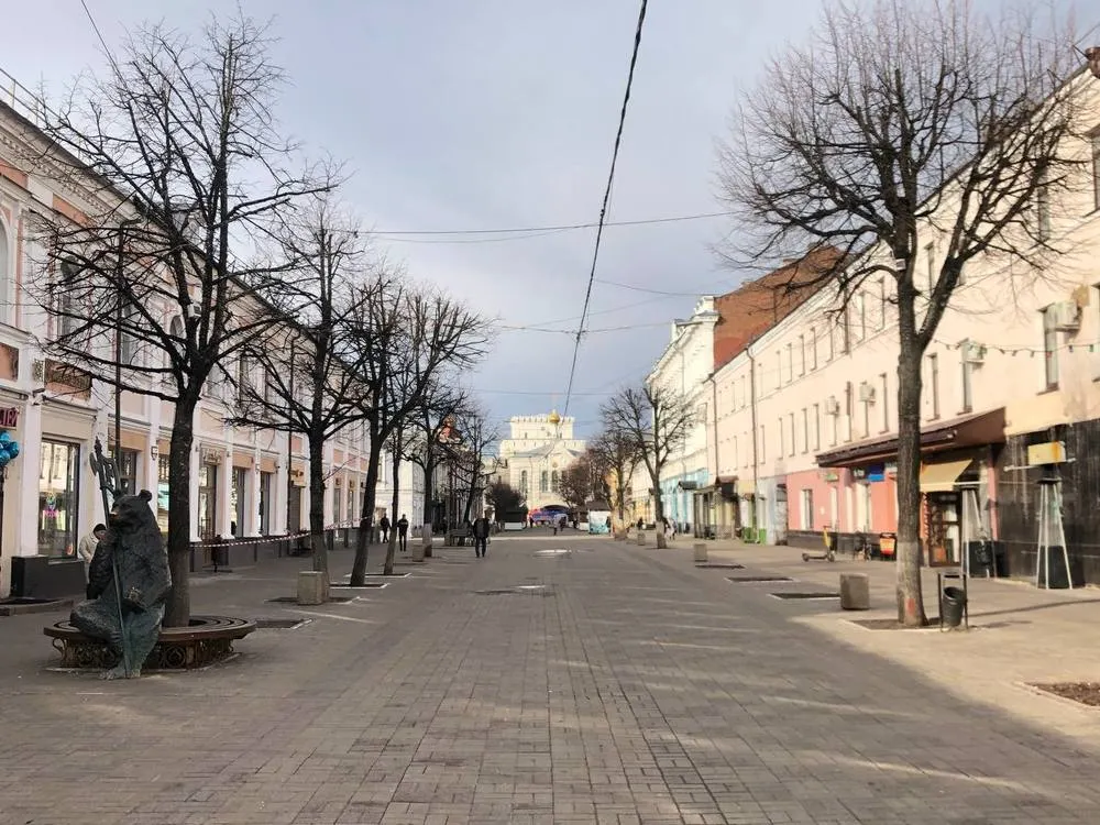В центре Ярославля вместо спиленных деревьев посадят клены и липы