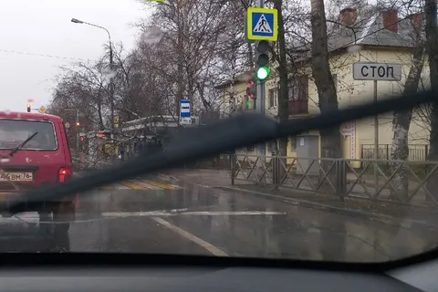 В Ярославле дерево упало на остановку общественного транспорта