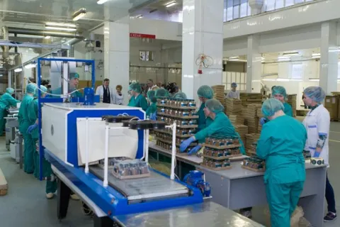 В Варегово ежемесячно выпускают 2 миллиона шоколадных плиток