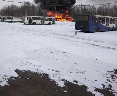 Питерский перевозчик рассказал, почему в Ярославле сгорели их автобусы