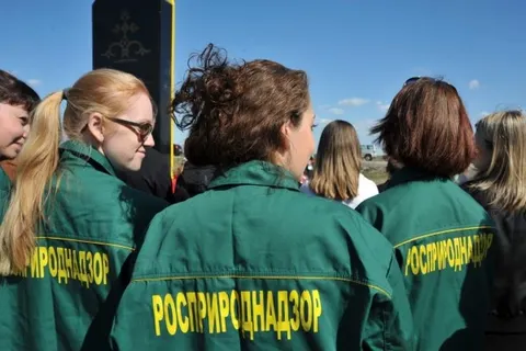 На родине Ушакова в Рыбинском районе посажено четыреста молодых сосен