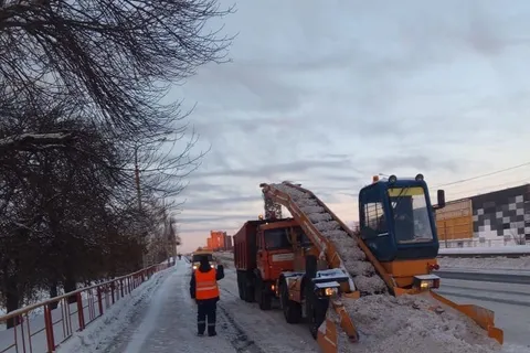 «Принято в работу»: ярославцы возмущены отписками «Горзеленхозстроя»