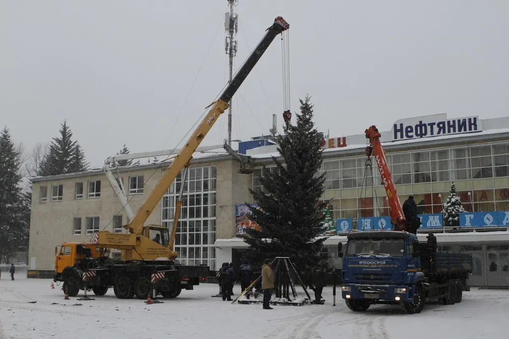 У ДК «Нефтяник» в Ярославле установили 17-метровую живую ель
