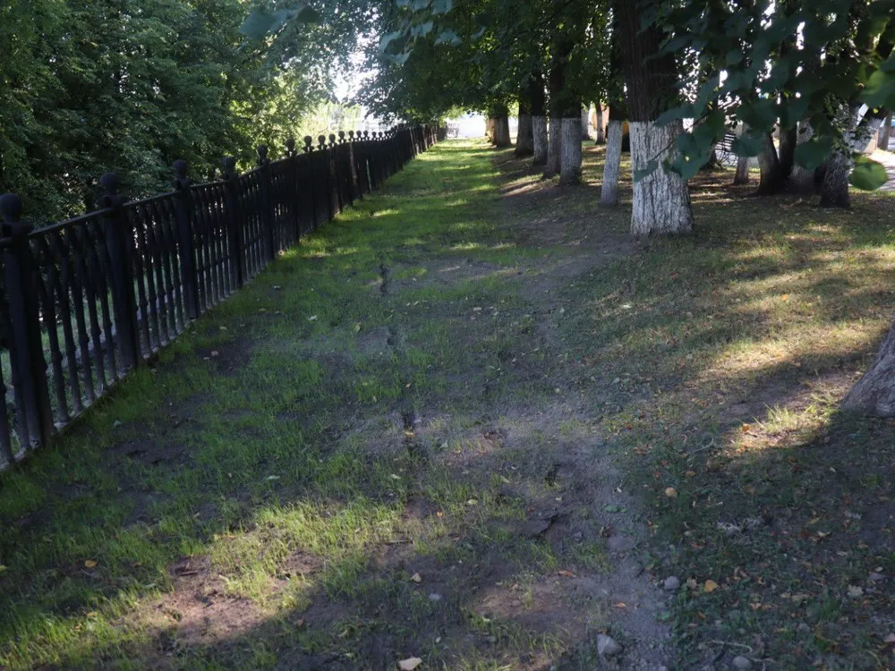 Ярославский детский омбудсмен пожаловался на КСП в прокуратуру
