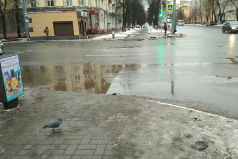 Жители Ярославля тонут в лужах на остановках и переходах: почему