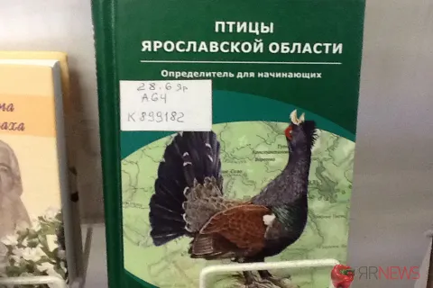 Победители и номинанты конкурса Ярославская книга 2013 года (с фото)