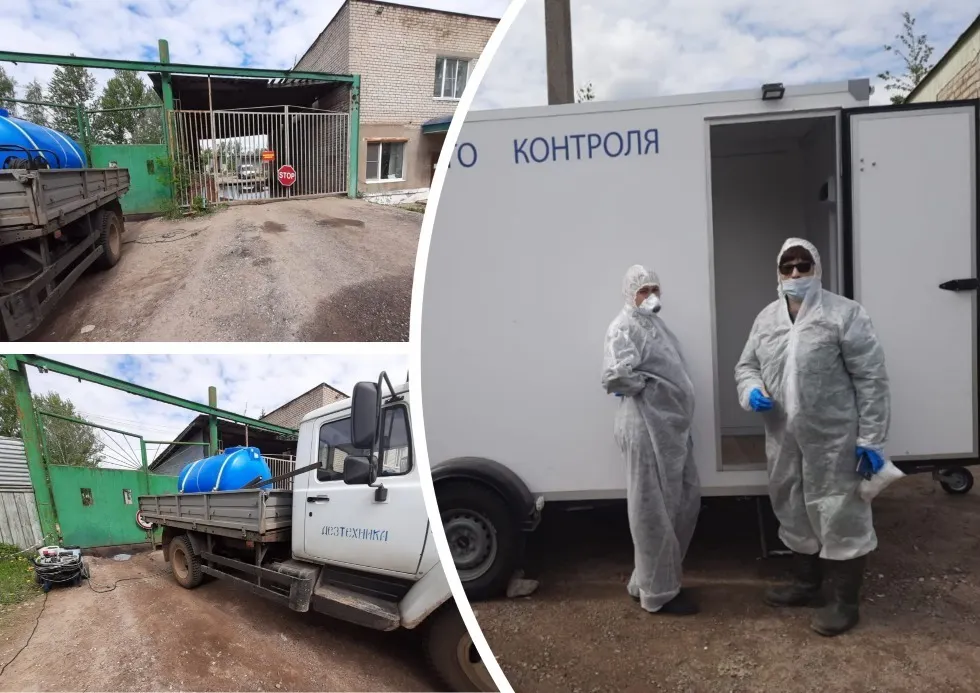 На птицефабрике под Ярославлем уничтожат 800 тысяч кур