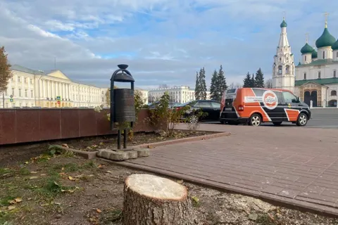 Возле ярославского правительства за 1,3 млн пересадили голубые ели