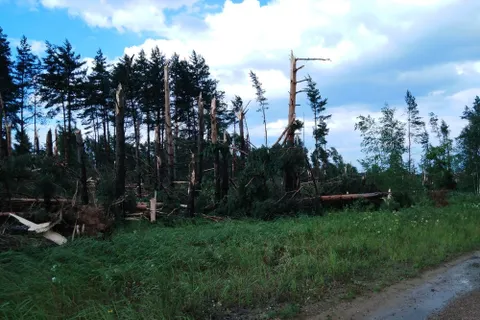 Поселок Красный Профинтерн под Ярославлем оказался в эпицентре урагана