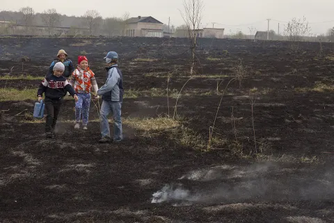 В соцсетях размещены фотографии пожара в Ярославской области от Гринпис