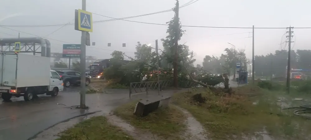 В Ярославле из-за упавших деревьев перекрыты дороги