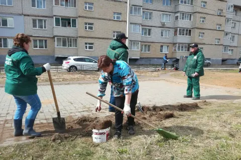 В Ярославле началась большая уборка
