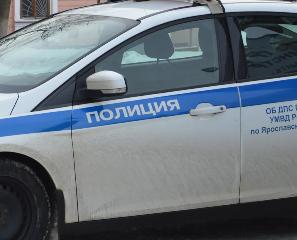 Убийство подростка в Ярославской области: с юношей расправился родной брат
