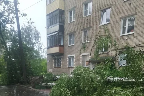 В Ярославле из-за упавших деревьев перекрыты дороги
