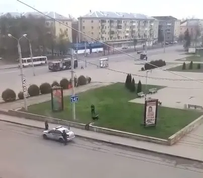 В УМВД прокомментировали стрельбу по собаке рыбинским полицейским