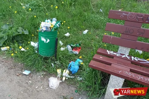 Власти Ярославля приучают брагинцев к свинству