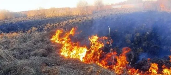 В Вологодской области выросли штрафы за противопожарную безопасность