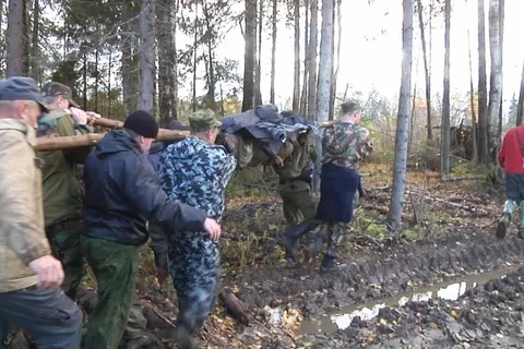 Пропавшую в Тутаеве женщину нашли и вынесли из леса на руках
