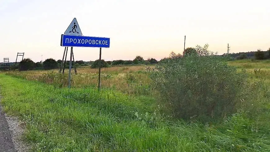 Площадь нового кладбища в Ярославле сократят в четыре раза