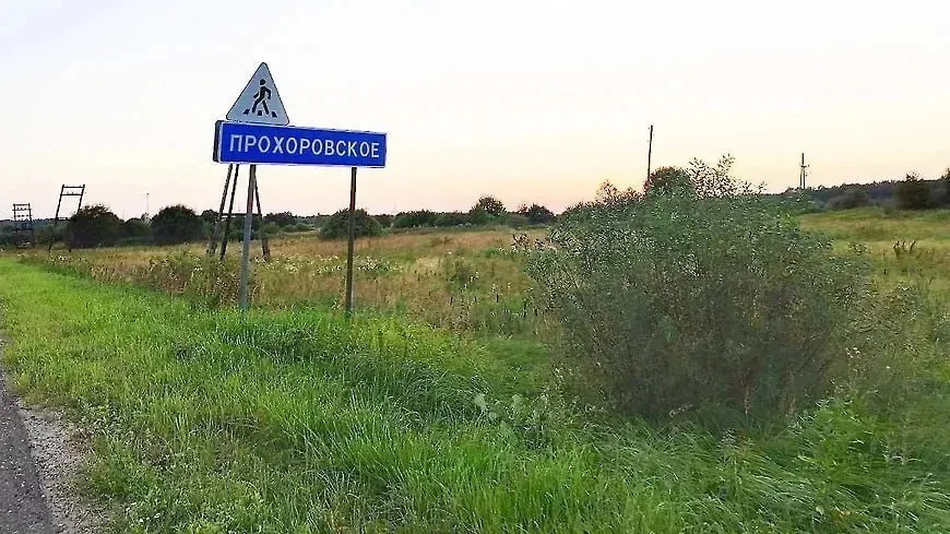 В Ярославле завершают проектирование нового кладбища