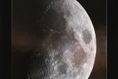 Жители Ярославля увидели растительные клетки  под микроскопом. Фоторепортаж