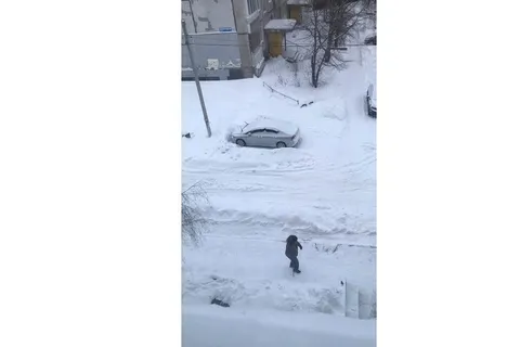 Ярославцы о неубранном городе: «Дмитрию Юрьевичу нужно вводить войска…»
