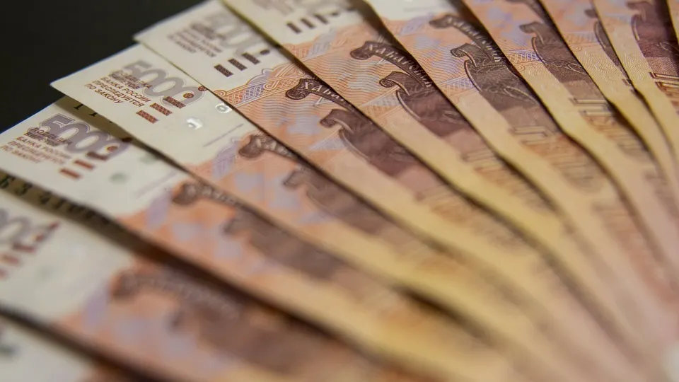 Жительница Ярославля проиграла на «фондовой бирже» 8,5 миллионов