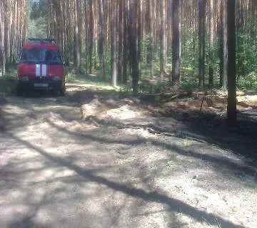Лесной пожар в Ярославском районе потушен