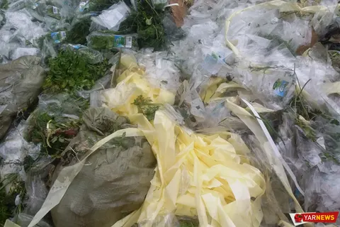 В лесу под Ярославлем разгрузилась фура одного из сетевых магазинов