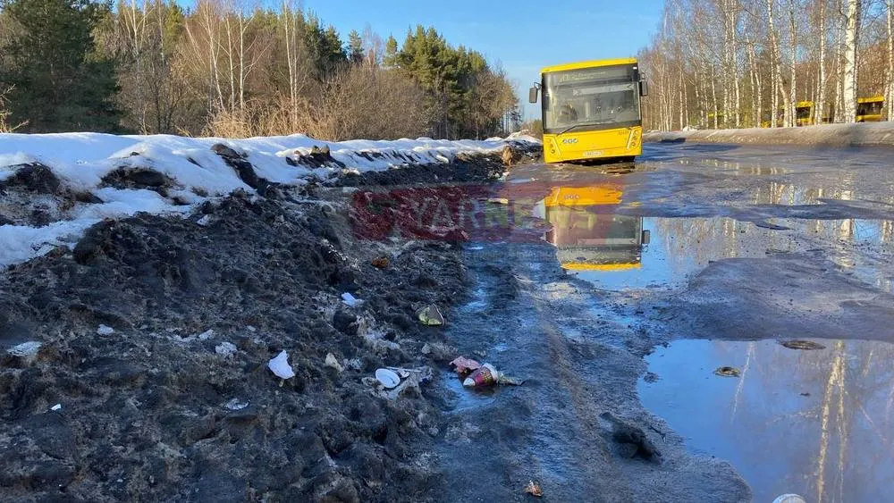 В Ярославле конечную остановку желтых автобусов превратили в помойку