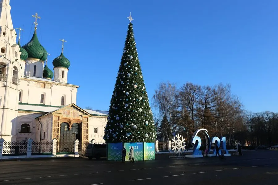 В центре Ярославля установили главную новогоднюю елку