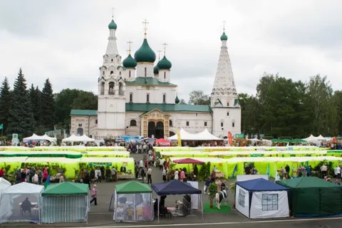 На выставке «ЯрАгро» представлены достижения сельхозпроизводителей региона