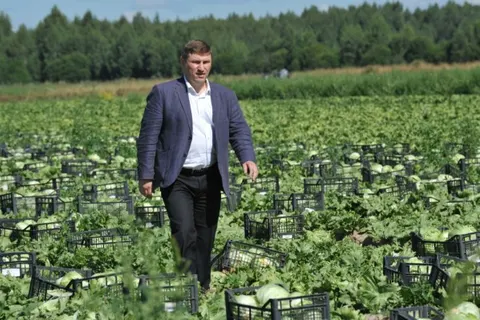 Урожай в Ярославской области ожидается на уровне прошлого года