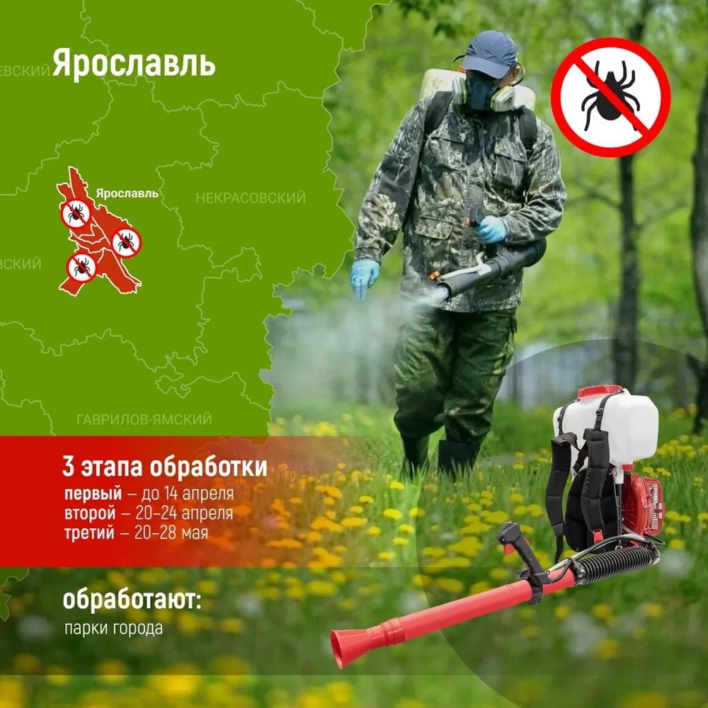 В Ярославле началась обработка территорий от клещей